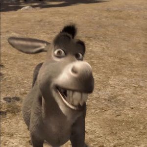 Meet your Posher, Eli